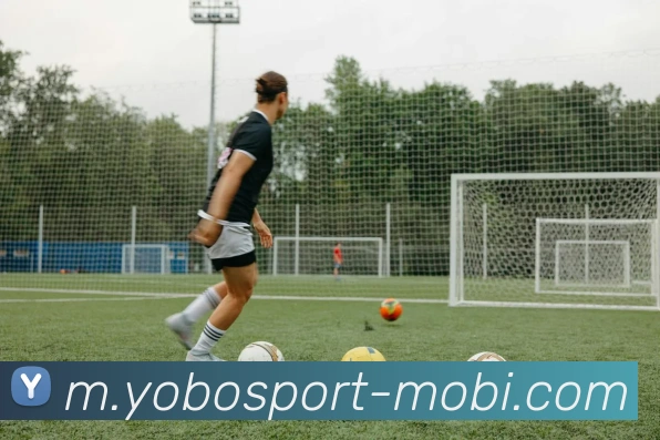 yobo体育发展历程